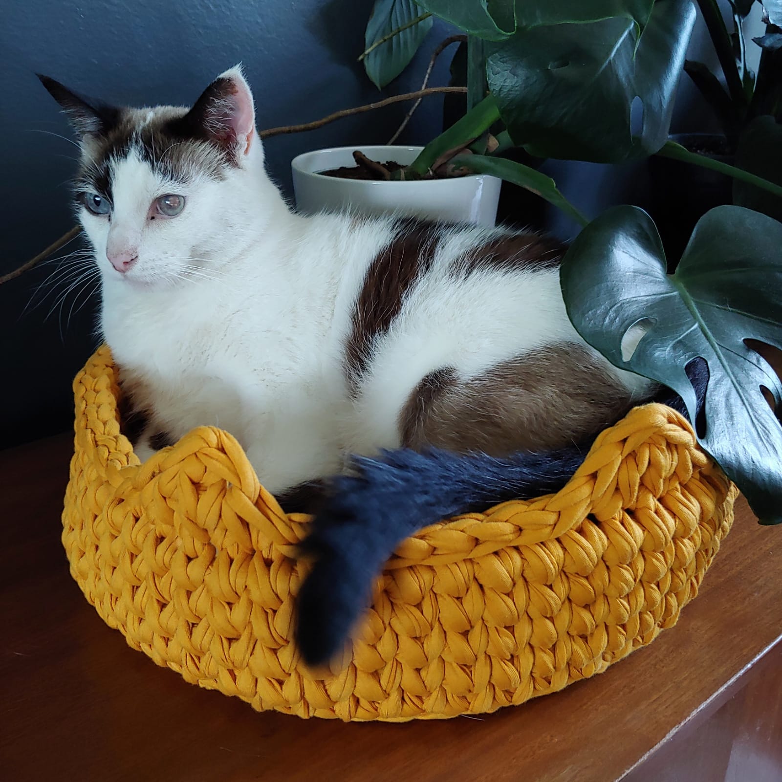 Floof Crochet Cat Bed Basket Mustard ⋆ Needle & Claw